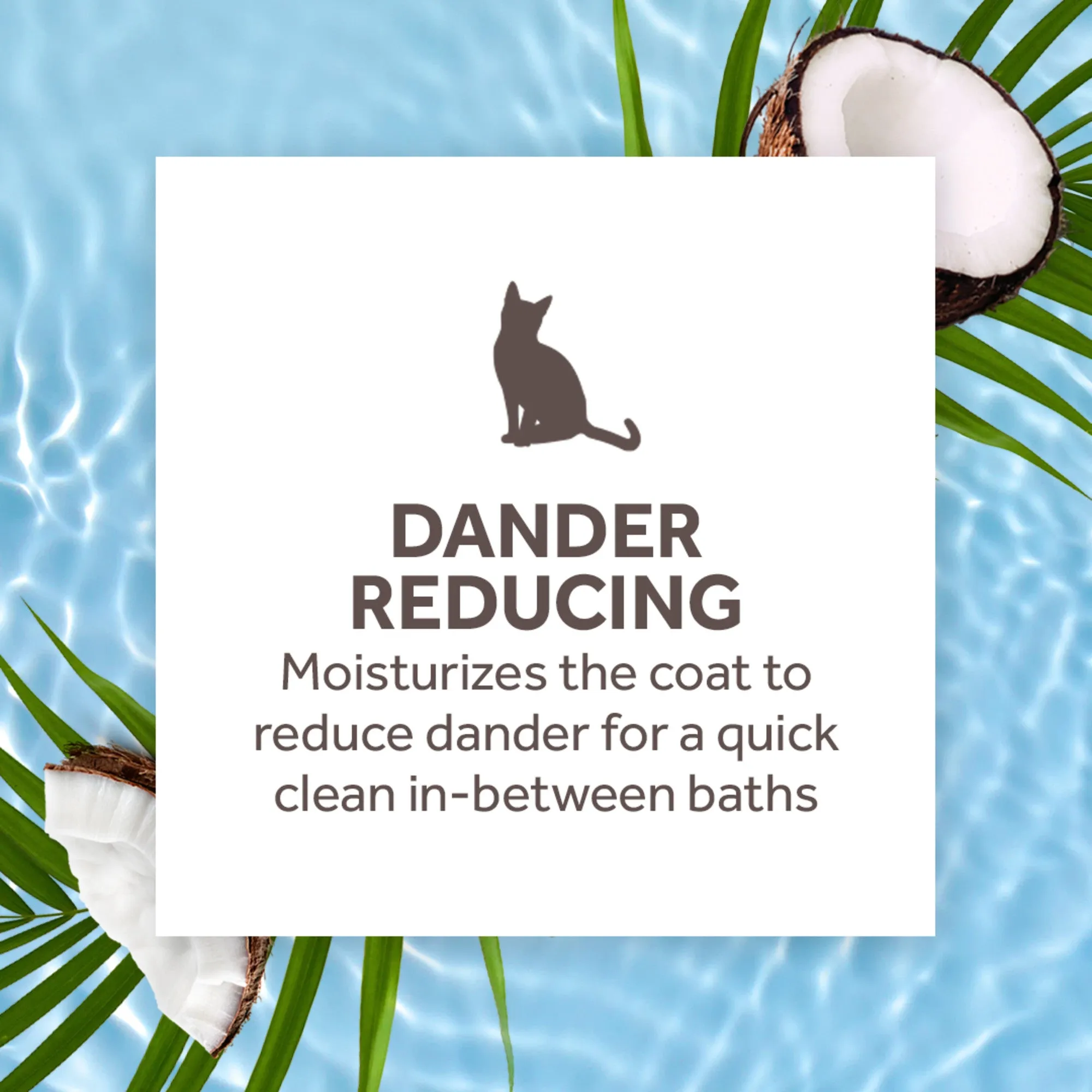 20% OFF: TropiClean Aqua de Coco Dander Reducing Waterless Shampoo For Cats