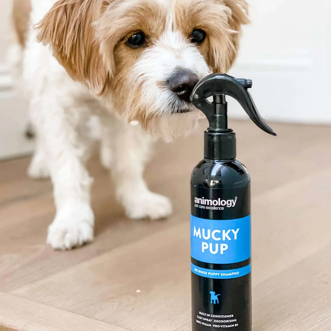 Animology Mucky Pup No Rinse Shampoo