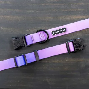 Aurora Waterproof Collar