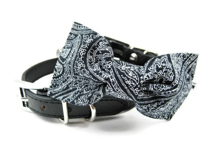 Bowtie Collar | Gaylord