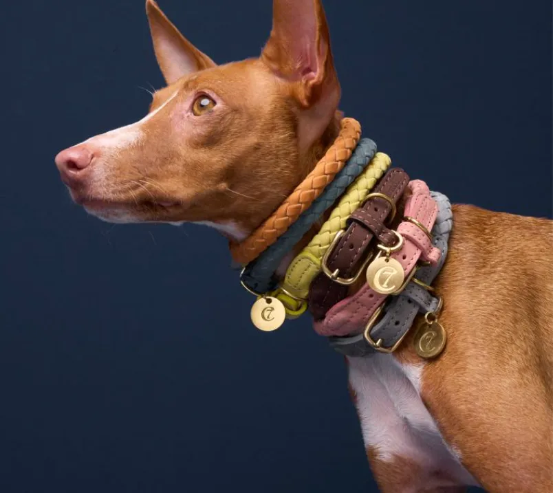 Cloud7 Ravello Dog Collar