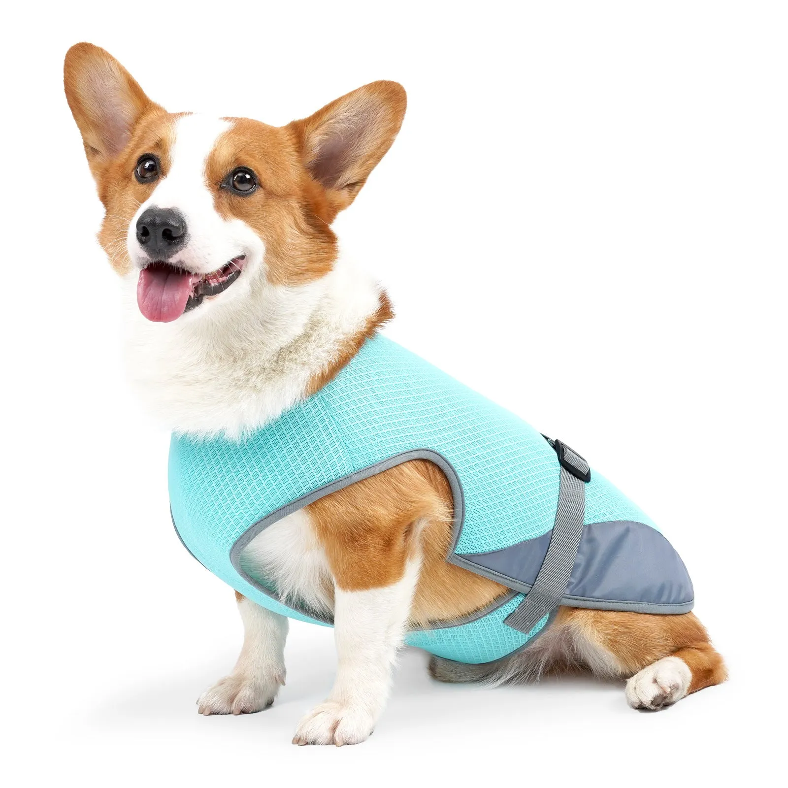 Cooling Dog Jacket