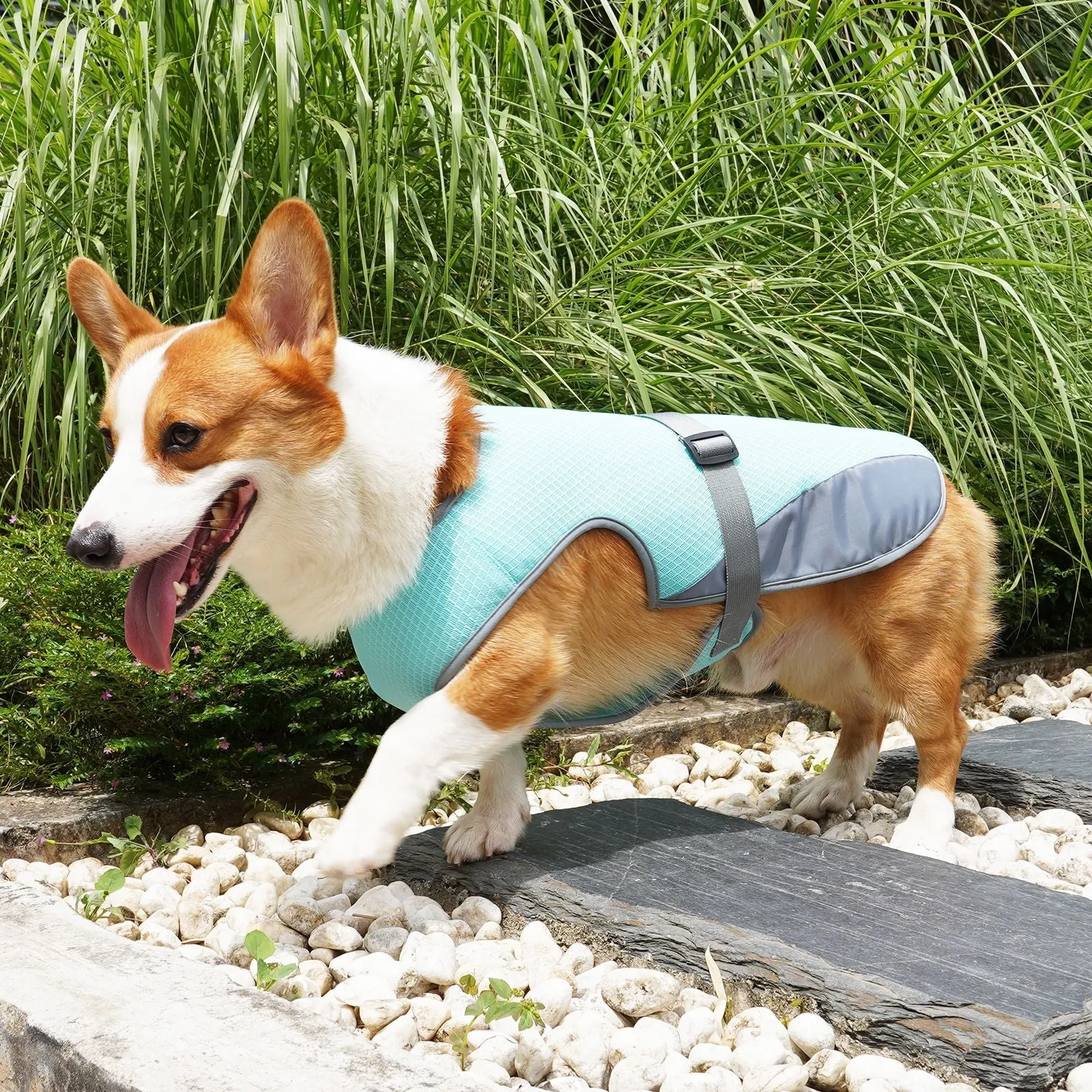 Cooling Dog Jacket