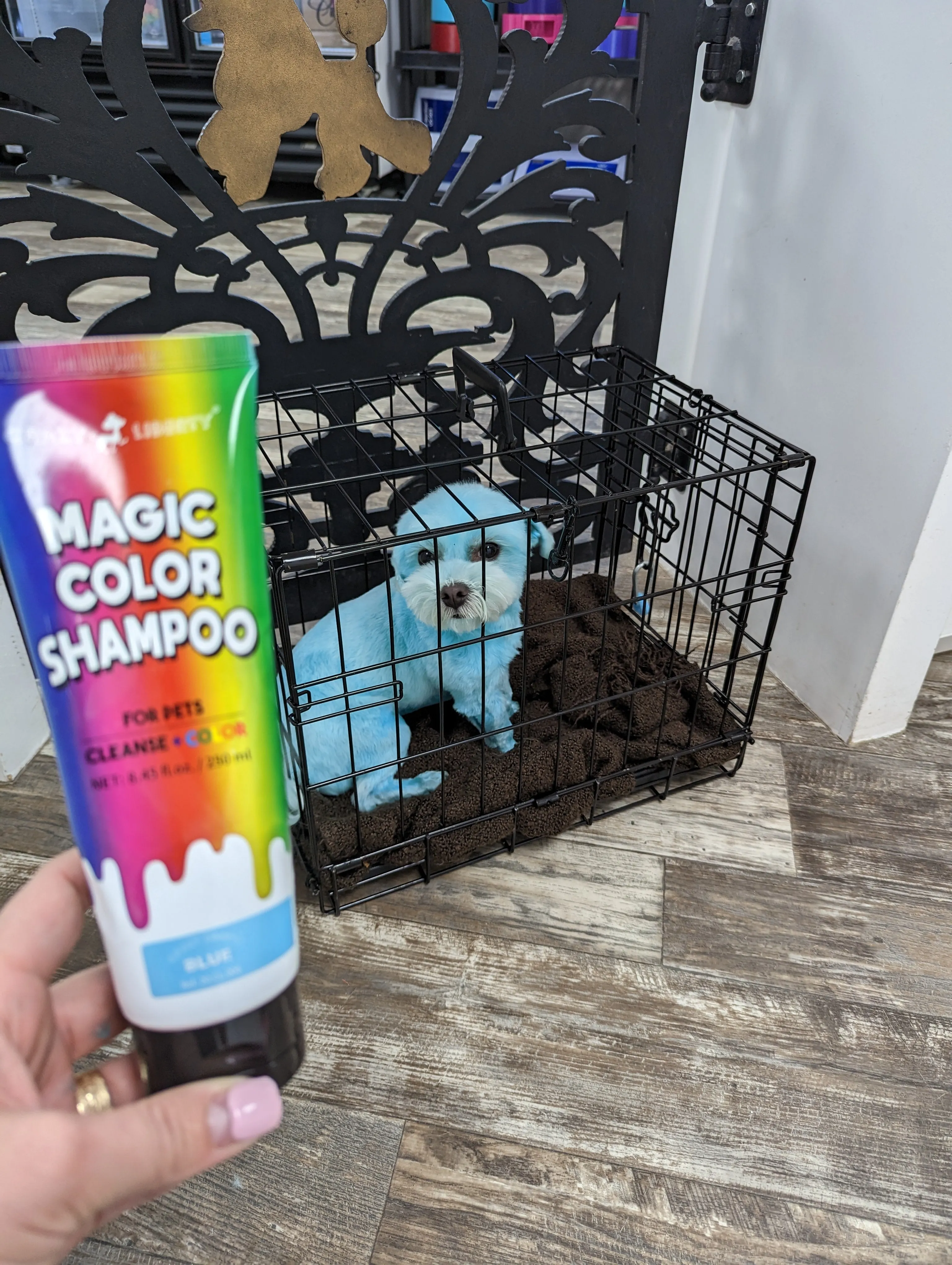 Crazy Liberty Coloured Shampoo