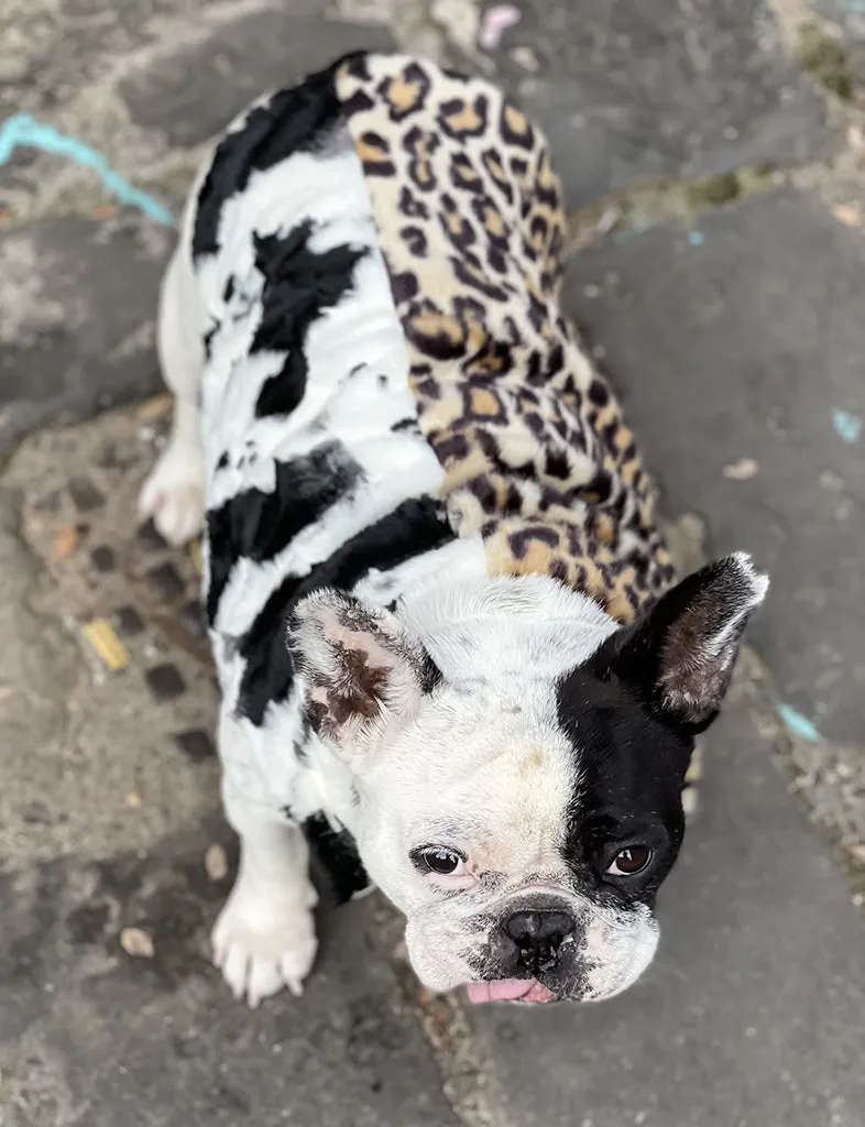 JUNGLE FAUX FUR DOG JACKET