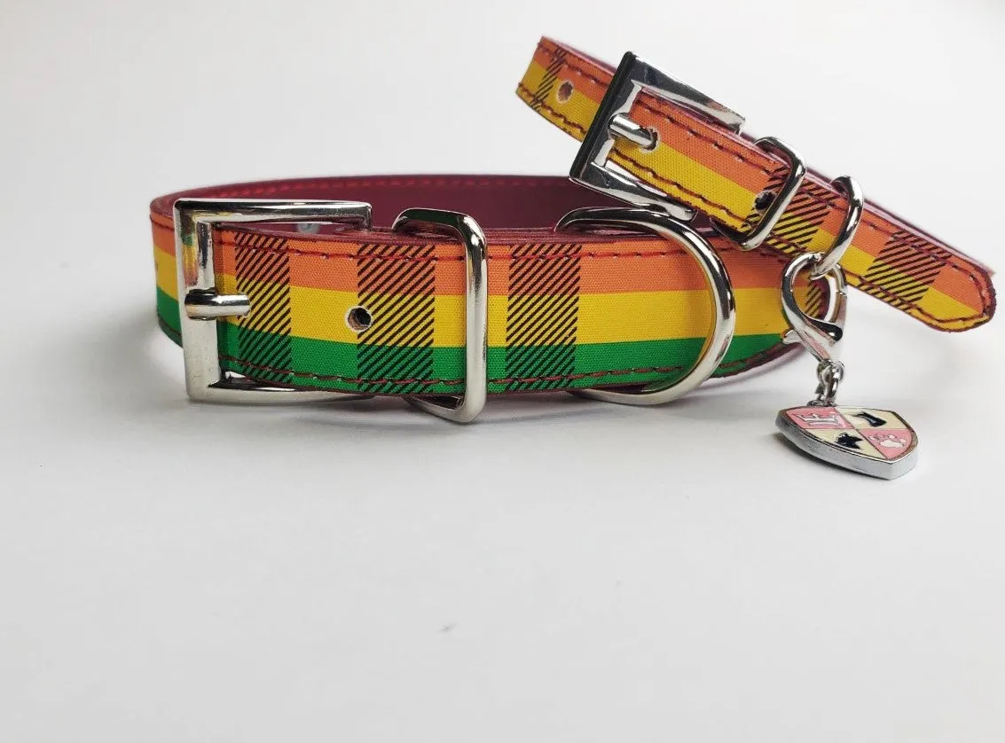 Limited Edition Rainbow Plaid Collar