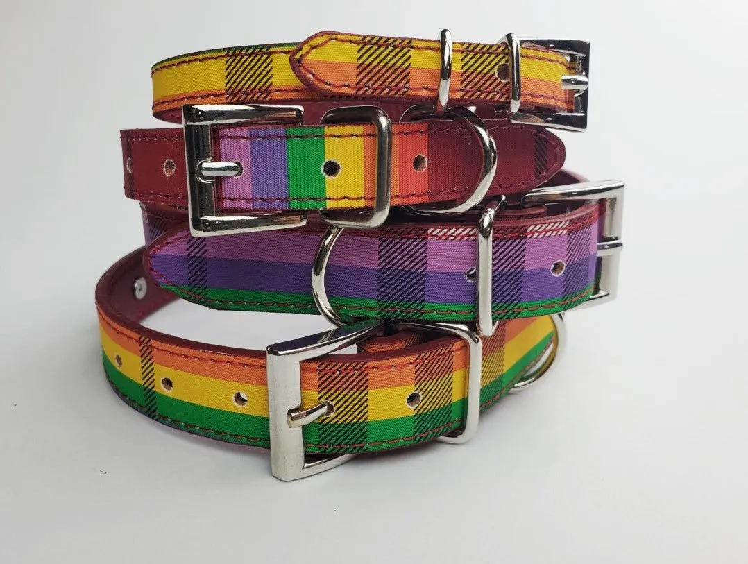 Limited Edition Rainbow Plaid Collar