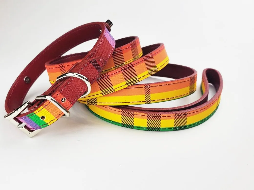 Limited Edition Rainbow Plaid Collar