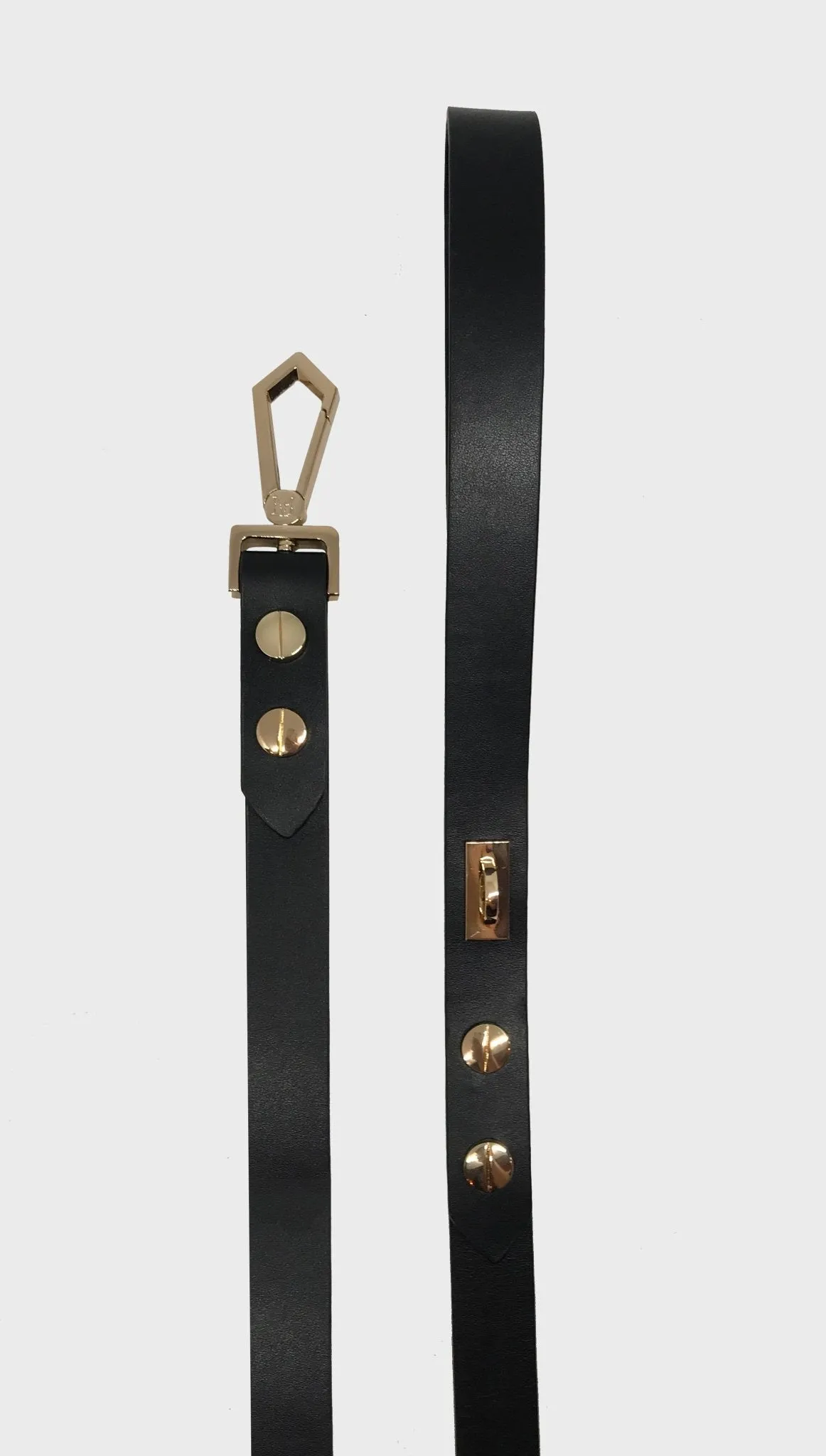 MADISON COLLAR & LEASH SET