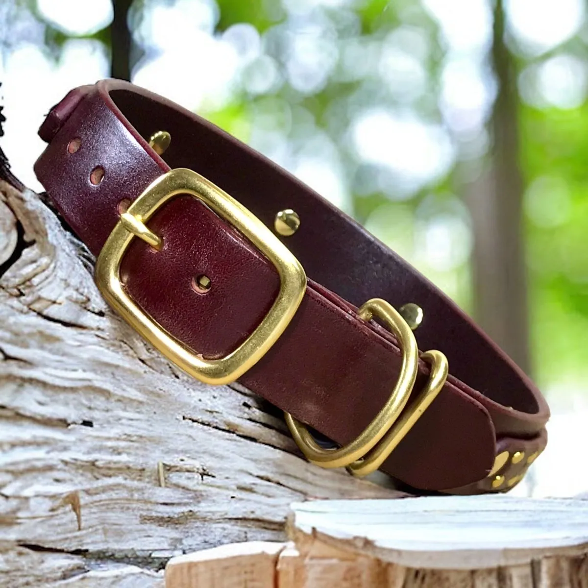 Personalized Leather Dog Collar Hamptons