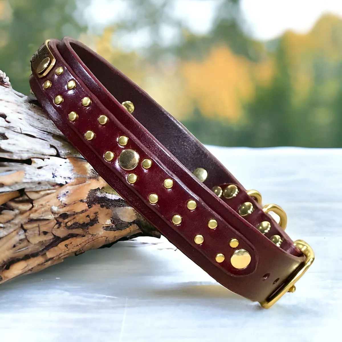 Personalized Leather Dog Collar Hamptons