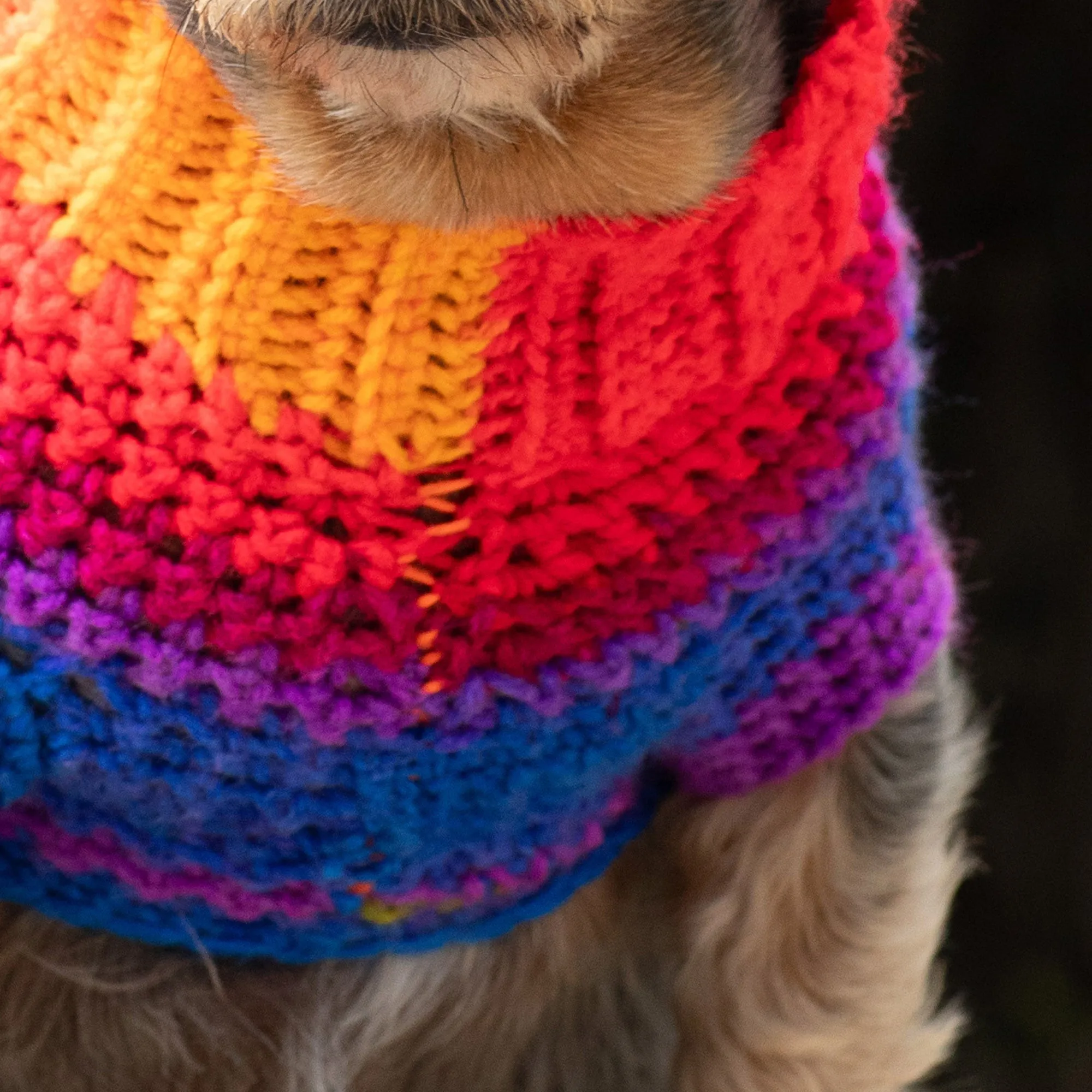 Red Heart Pup's Favorite Crochet Sweater