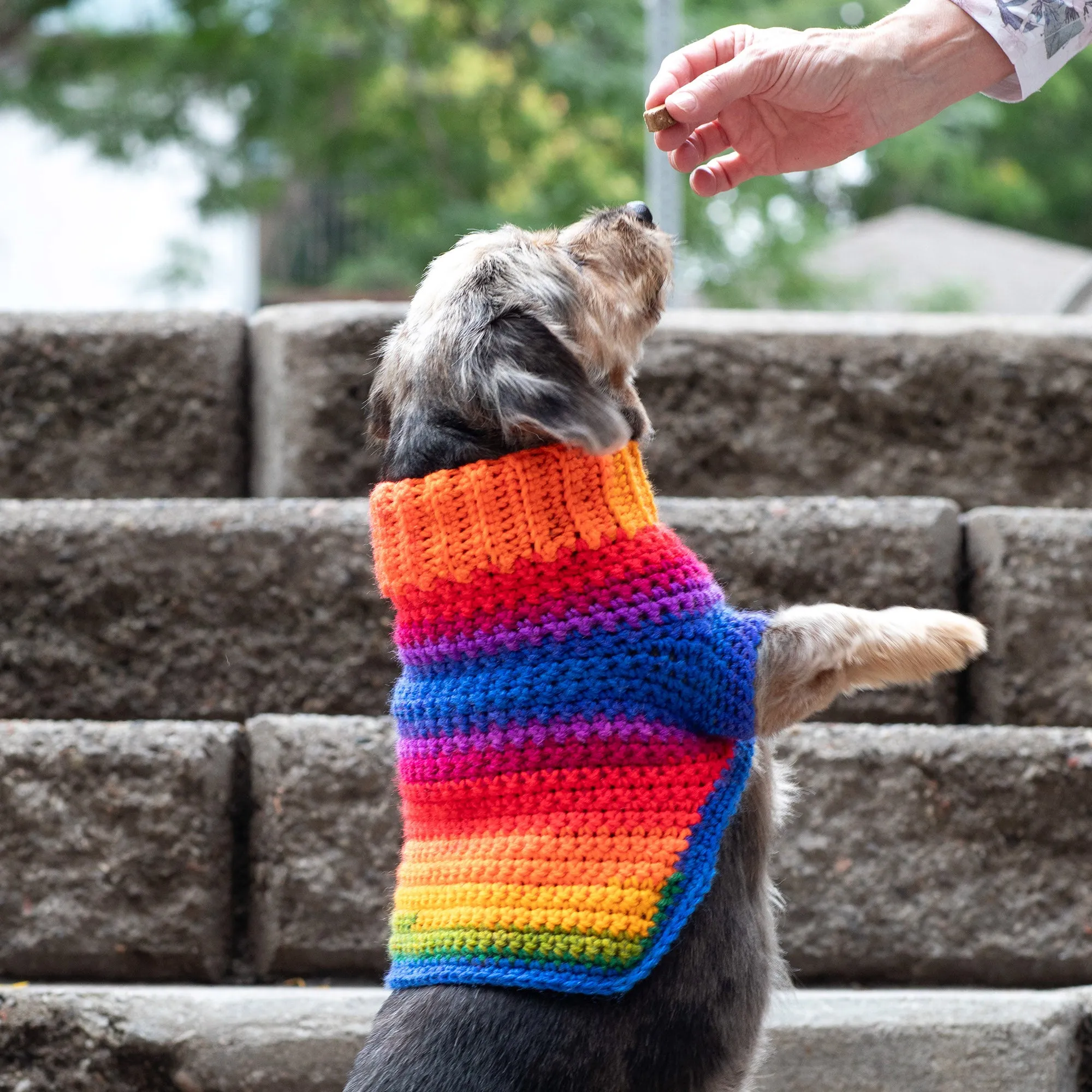 Red Heart Pup's Favorite Crochet Sweater