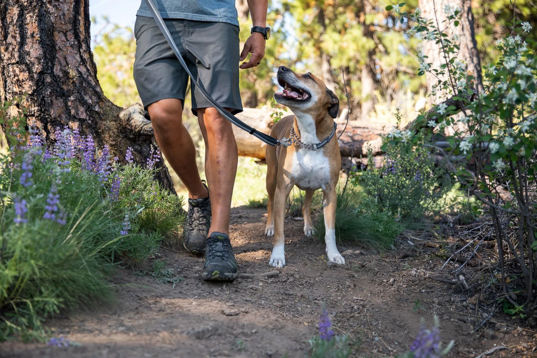 Ruffwear Chain Reaction™ Reflective Martingale Dog Collar (Blue Dusk)