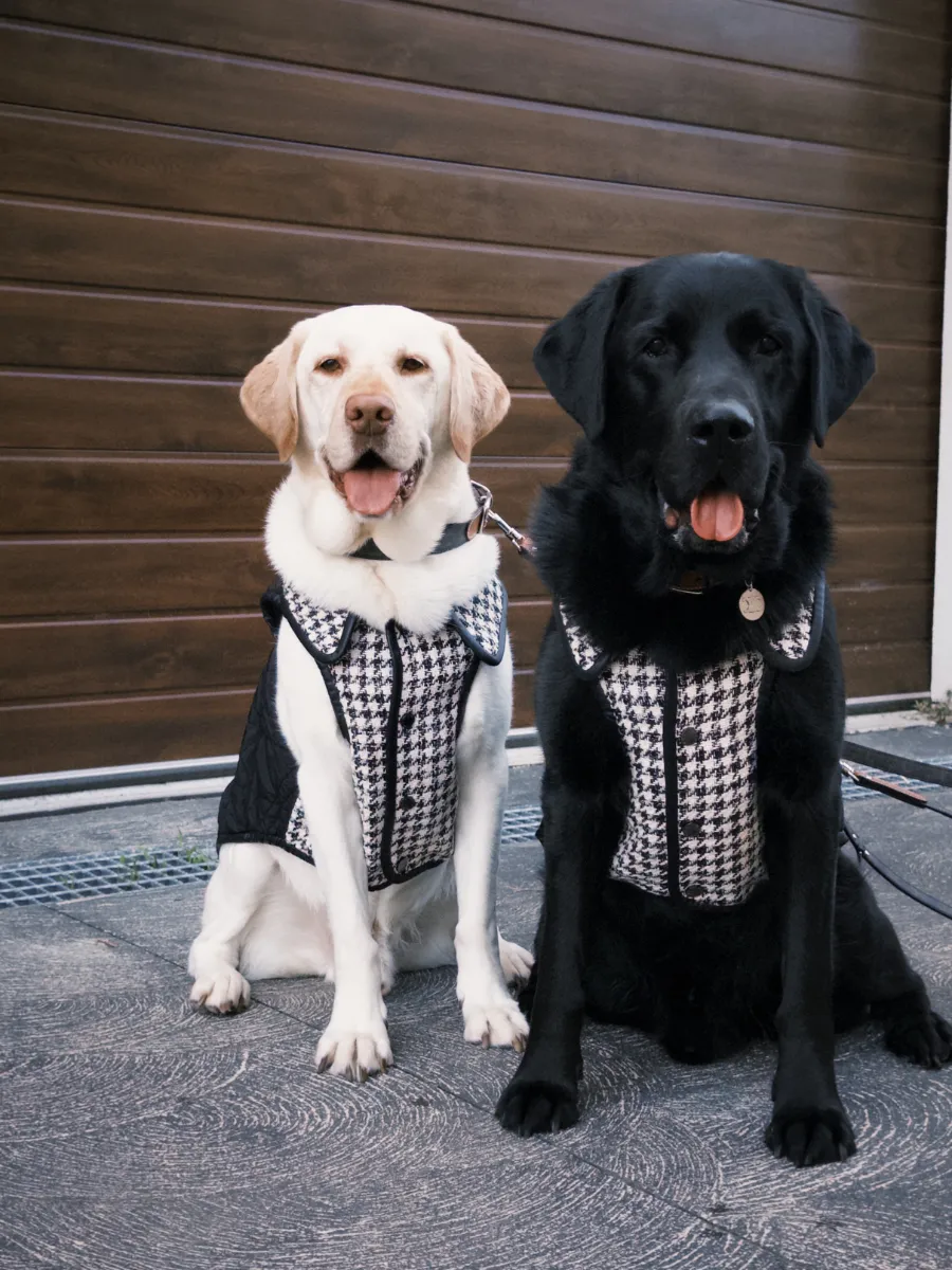 Soho Tweed Padded Vest